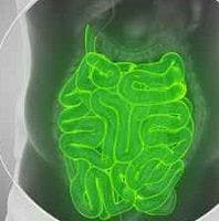 Investigators Examine Withdrawal from Crohn's Disease Drugs