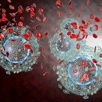 Fixed Combination Treatment for HIV Hits Phase 3 Trial Marks