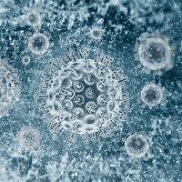 New Review Highlights Efficacy of Elbasvir/Grazoprevir for Hepatitis C