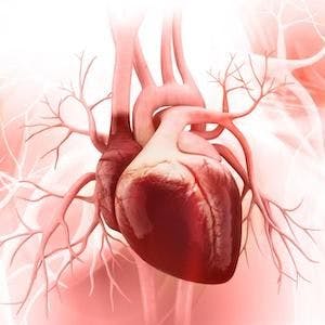 Graphic of heart | Image Credit: Adobe Stock