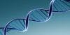 Genetic Variants Associated with Gout Discovered