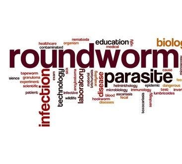 Case Study: When a Patient Sees Worms, Don't Think Hallucinations