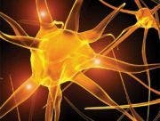 Potential New Target for Neuropathic Pain Therapies