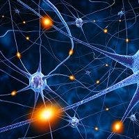 First Published Results on Potential Multiple Sclerosis Drug Ocrelizumab