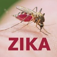 hospital medicine, emergency medicine, infectious disease, Zika virus