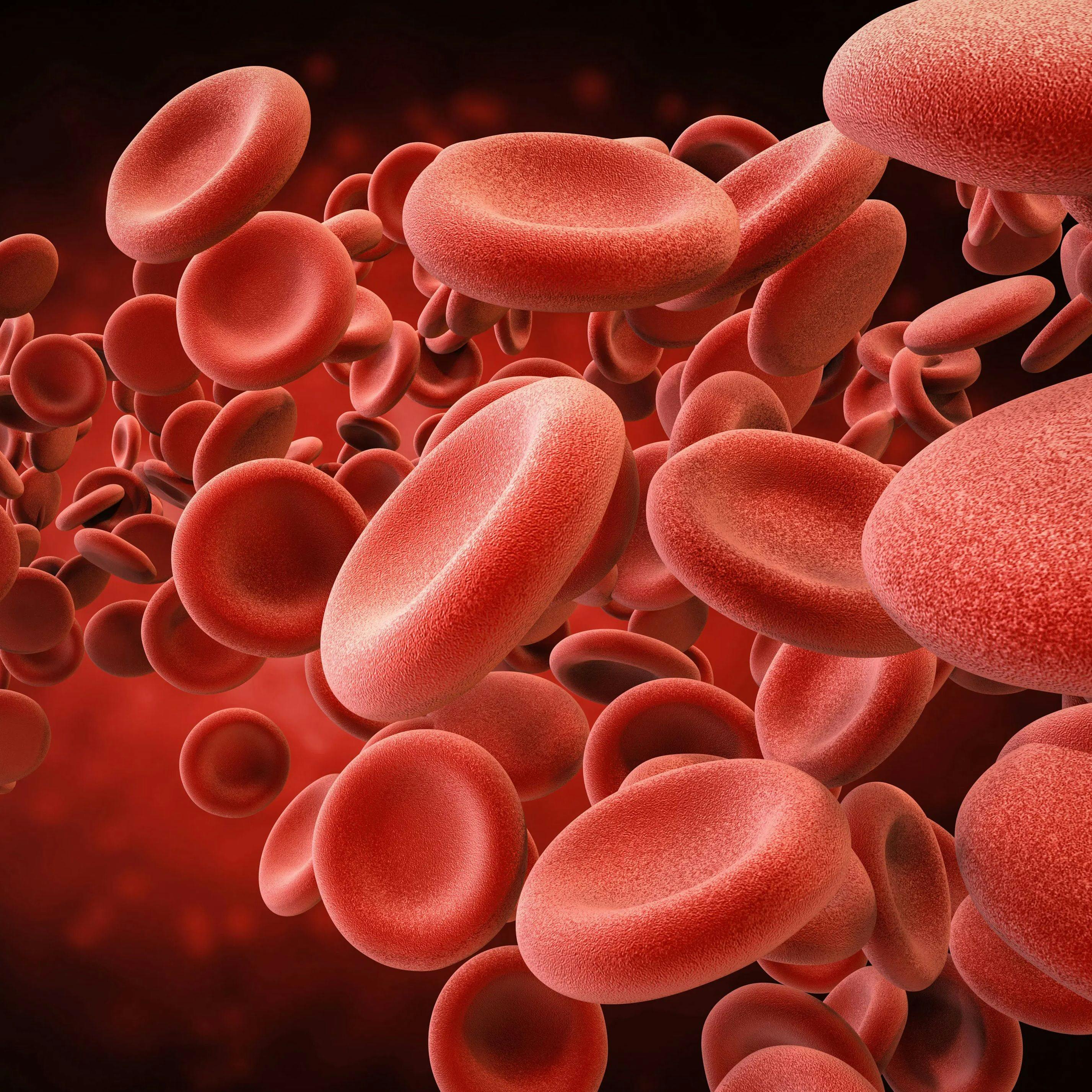 Red blood cells | Image Credit: Fotolia