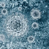 Hepatitis C: Postpartum Is Prime Time for Exhausted T-Cell Activation
