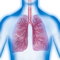 No Association Between Muscle Atrophy, Nutrient Depletion and Airway Inflammation in COPD Patients