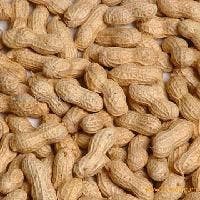 Patients, Parents Report Improved QOL Following Peanut Allergy Therapy Trials