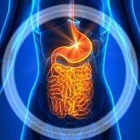 Can Alternative Therapies for Irritable Bowel Disease Really be Effective?