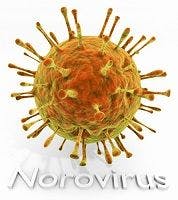 Norovirus at RNC: Jokes Not Funny to California Delegates