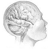 Deep Brain Stimulation Still Effective for Parkinson Disease