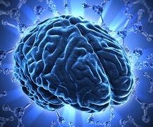 Epilepsy Can Age the Brain