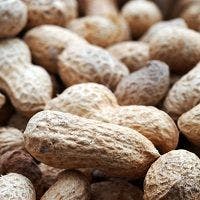 Peanuts Ejected from Some Baseball Games