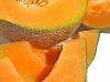 Cantaloupes Carrying Listeria Cause Outbreak, 13 Deaths
