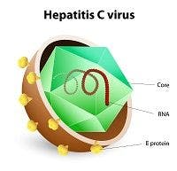 Researchers Test New Model for Predicting Hepatitis C Risk
