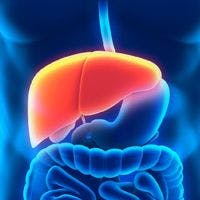 New Antiviral Combo Yields High Response Rate for HCV after Liver Transplant