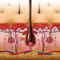 Clinical Review: Deeper Understanding of Skin Could Have Revolutionary Impact for Dermatology, Surgery