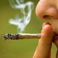 Regular Marijuana Users Are Twice as Likely to Break a Bone