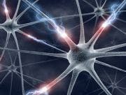 Molecule Linked to Neurological Dysfunctions Identified