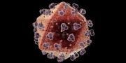 Interferon-free Drug Combo Studied in Patients with Hepatitis C and HIV