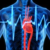 Duration of Atrial Fibrillation Linked to Short-Term Increase in Stroke Risk