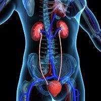 Japanese Study Links RA Inflammation with Incidence of Kidney Disease