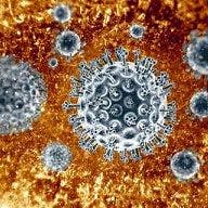 Hepatitis C Treatment Panel Calls For Hepatitis B Testing