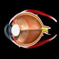 C-Reactive Protein May Be a Biomarker for Diabetic Retinopathy