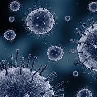 HIV Officially Listed as a Carcinogen