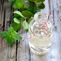 A Little Peppermint Oil Goes a Long Way for IBS Patients