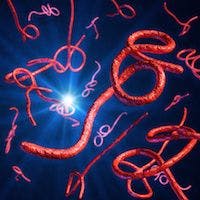 Experimental Ebola Drug May Be Effective in Patients in Early Stage of Disease
