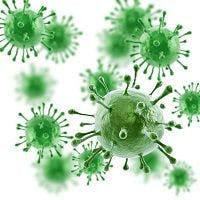 Worldwide Map Documents Rotavirus Risk 