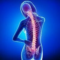 Pain Controlled by Spinal Cord Cells