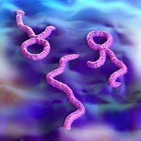 New Antiviral Compound GS-5734 Protects Rhesus Monkeys from Ebola Virus