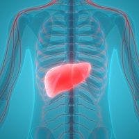 TDF Slows Liver Fibrosis for Patients with HIV, Hepatitis B Coinfection