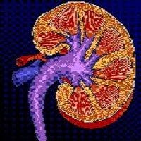 Patients Observed After HIV Treatment Damages Kidneys
