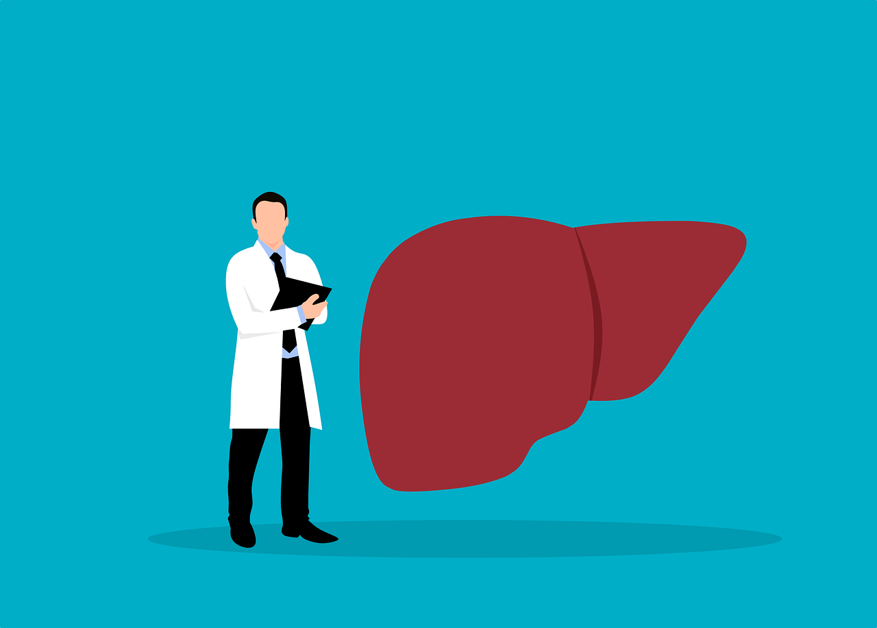 Digital illustration of a clinician (hepatologist) standing next to a liver. | Credit: Pixabay (Mohamed_hassan)