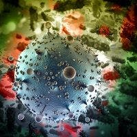 Mechanisms Underlying HIV Latency Vary in Blood, Gut