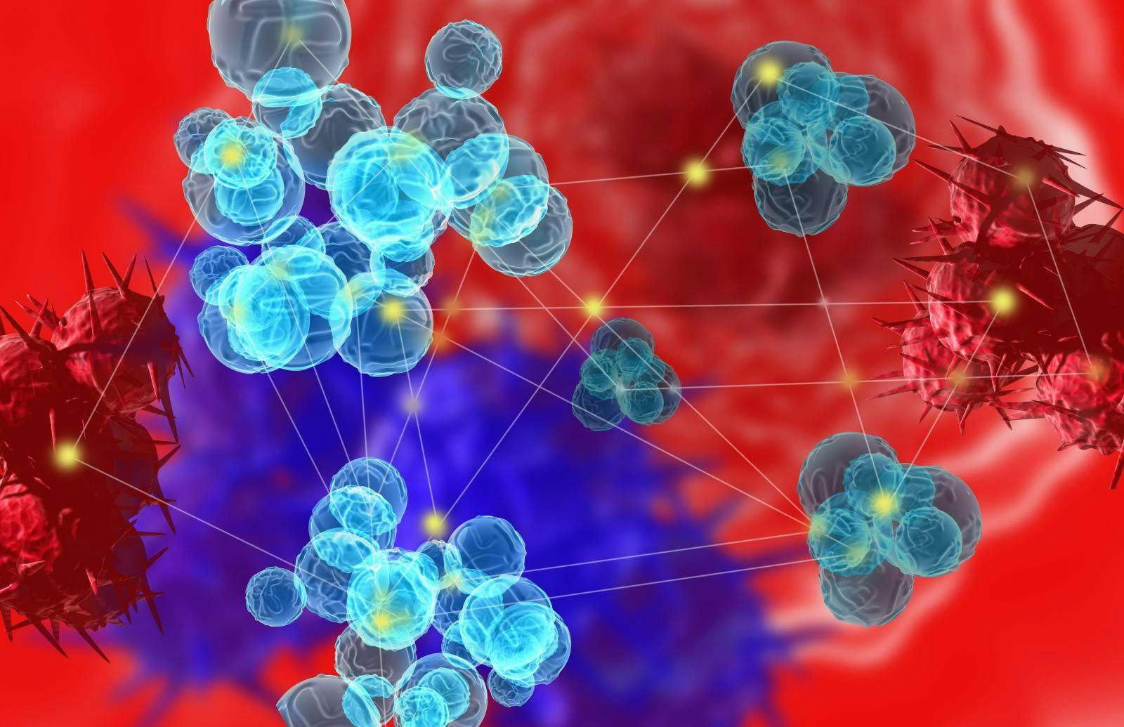 New Research Exhibits Benefits of Nivolumab Plus Ipilimumab in Renal Cell Carcinoma