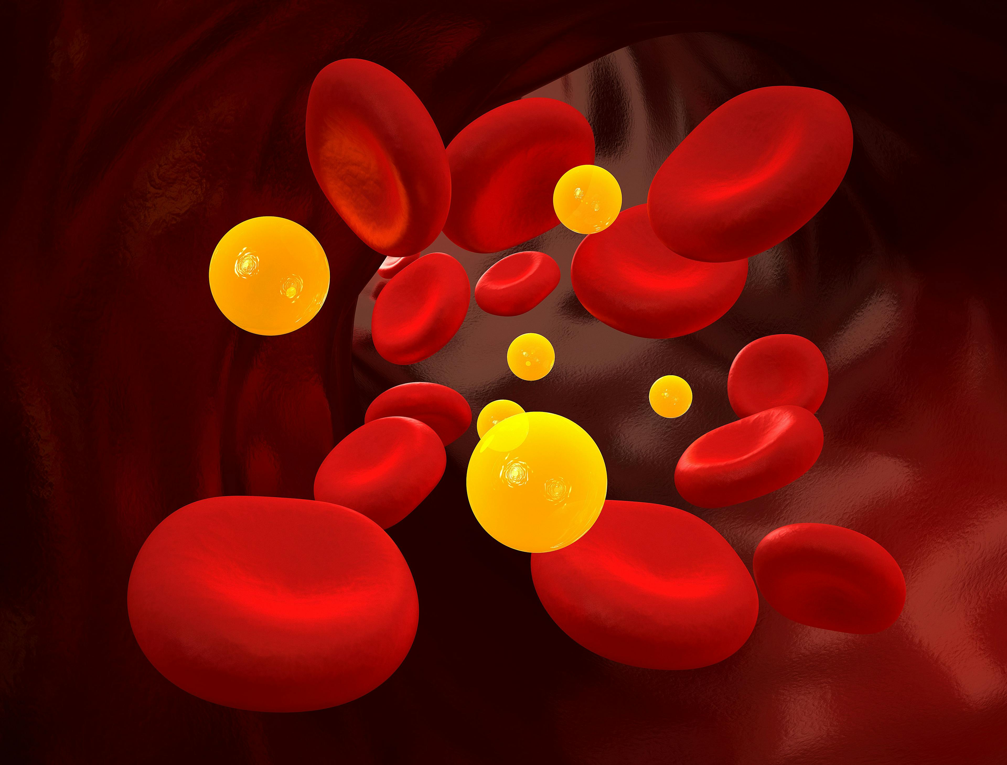Stock imagery of cholesterol particles in a blood stream.