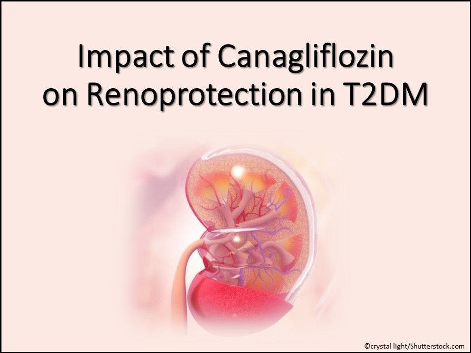 Impact of Canagliflozin on Renoprotection in T2DM