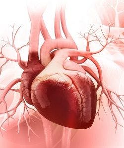 Digital illustration of a heart