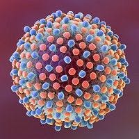 Ribavirin May Retain Role for HCV with Cryoglobulinemia