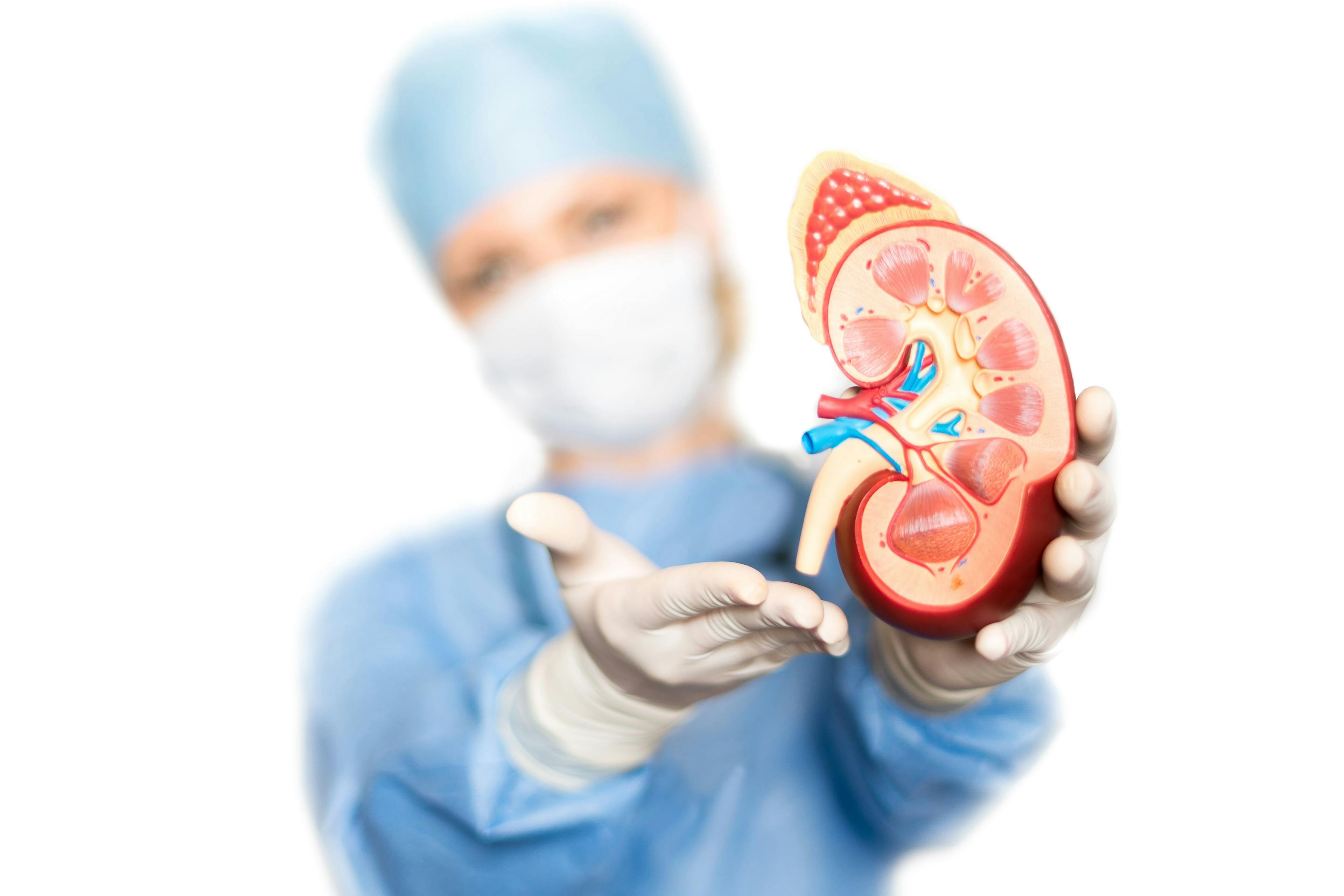 The Quest for Ideal Kidney Function, with Kim Zuber, PA-C, and Jane Davis, DNP