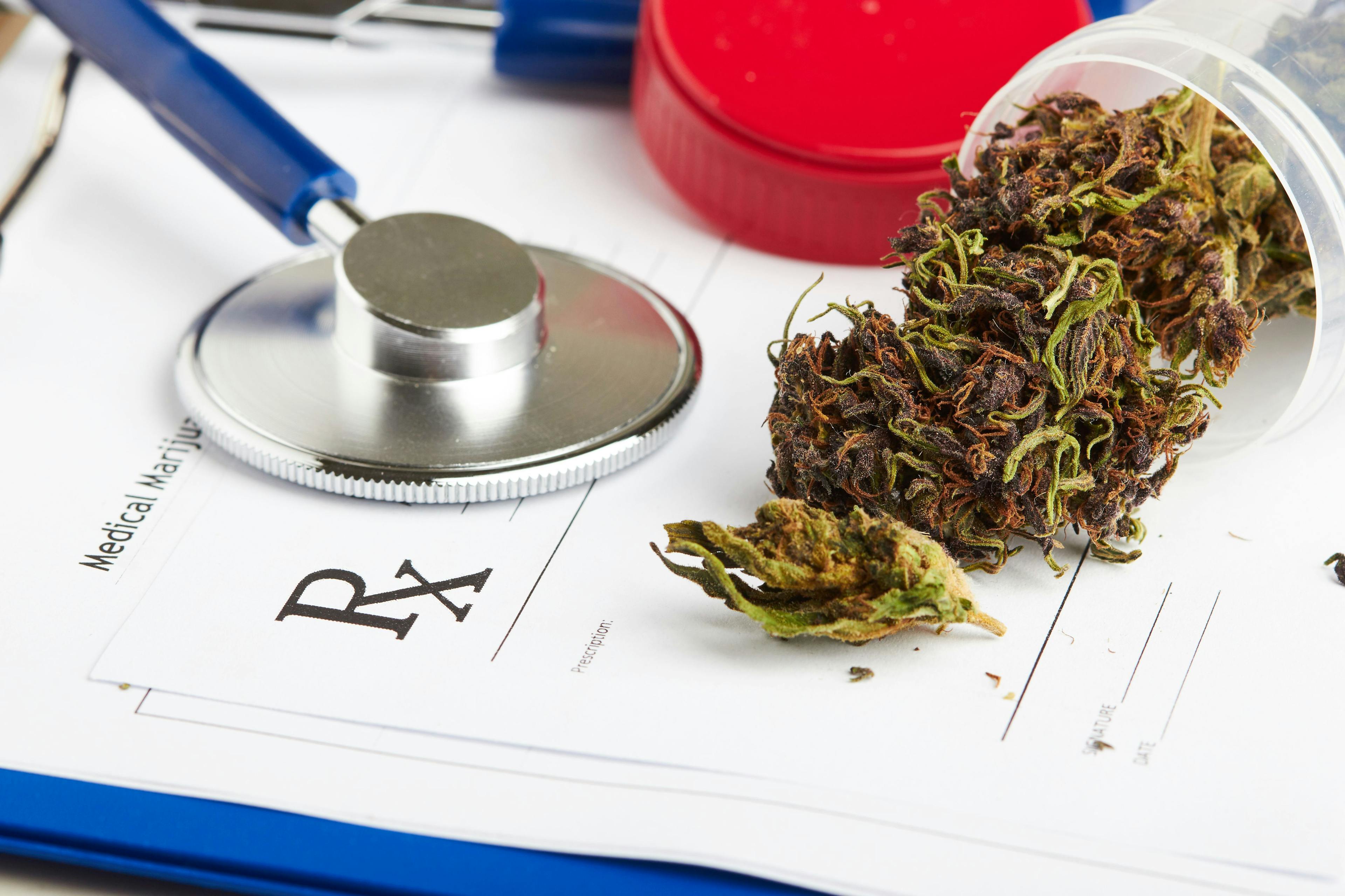Precautions for Medical Cannabis in Rheumatology
