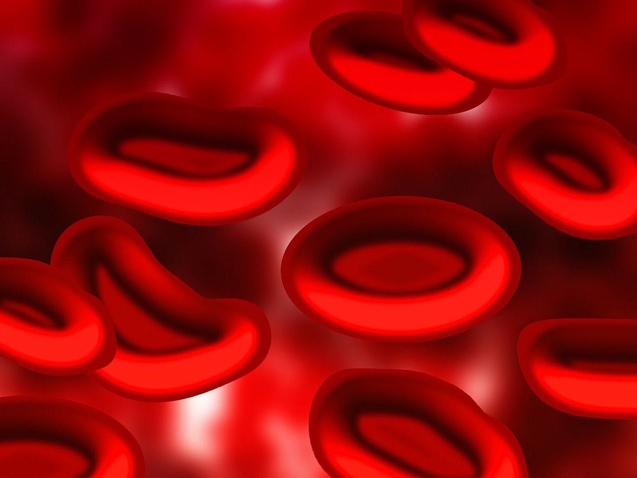 Blood cells | Credit: PixaBay