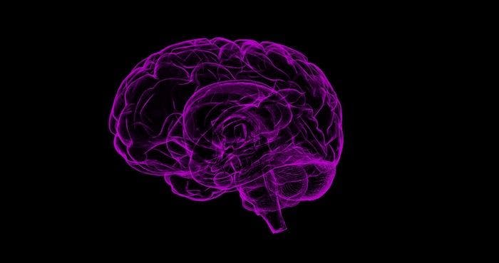 Ibudilast Slows Brain Atrophy Caused by Progressive Multiple Sclerosis