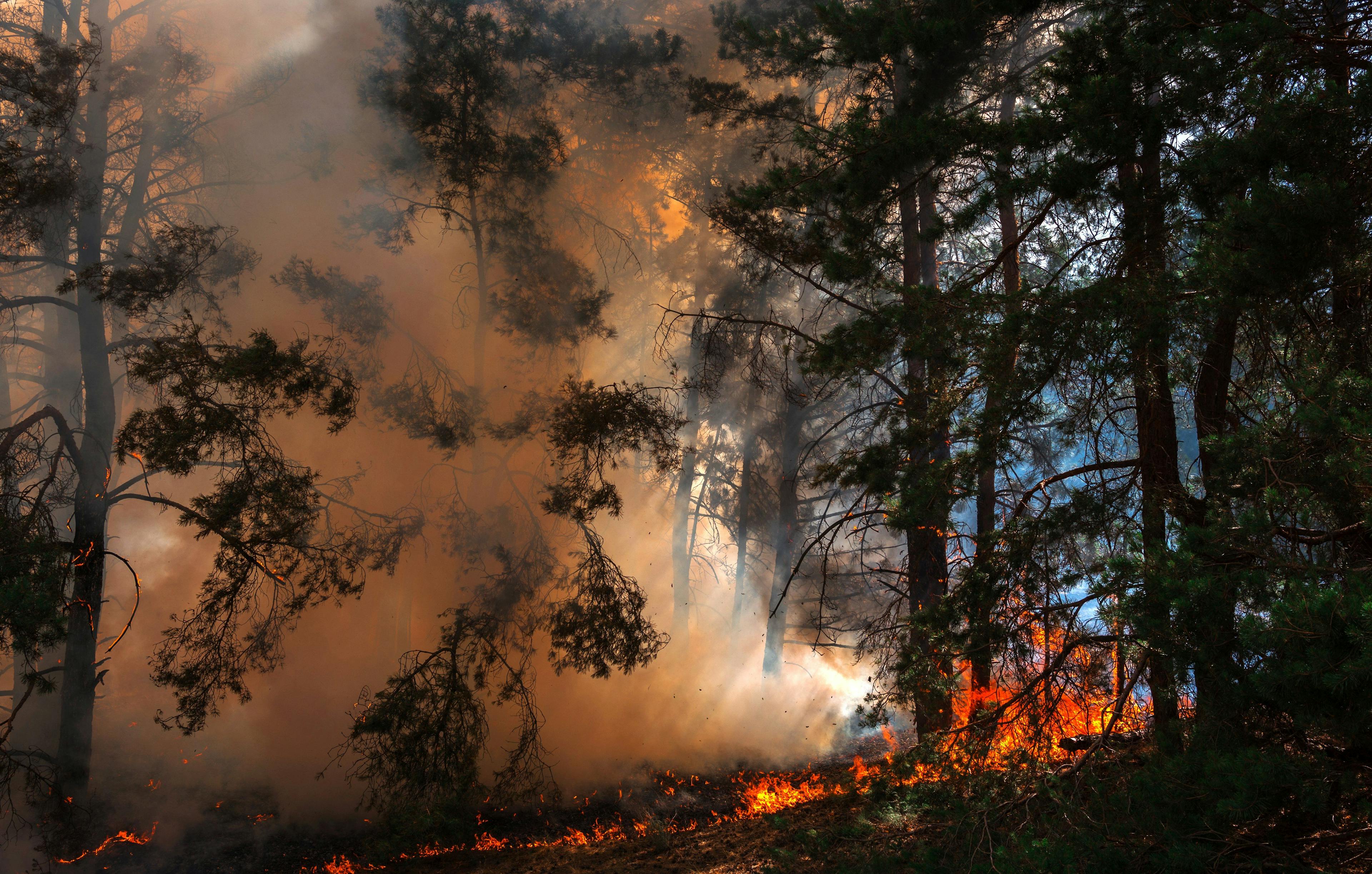 Spike in Heart Attack Risk Linked to Wildfires