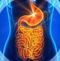 Gut Microbiota and Obesity Unrelated After All?